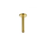 Flova 120mm Ceiling Shower Arm Brushed Brass