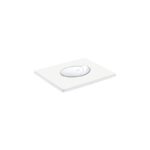 Grohe Skate Air WC Wall Plate 38506 Alpine White