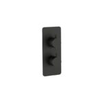 Imex Ravine Matt Black 2-Handle 1-Outlet Concealed Shower Valve