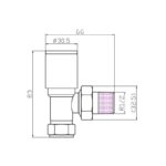 Inta 15mm Angled Modern Chrome Radiator Valve