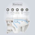 RAK Feeling Rimless Back to Wall WC Pan Matt White