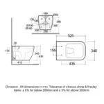 RAK Feeling Rimless Wall Hung Toilet & Soft Close Seat Matt Gray