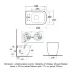 RAK Feeling Rimless Back To Wall Toilet & Soft Close Seat Matt Cappuccino